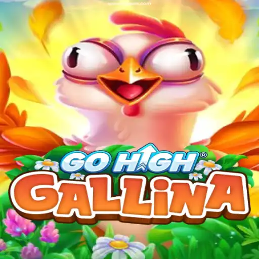 Exploring the Exciting World of GoHighGallina: A Premier Brazilian Casino Gaming Experience